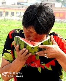 老太太吃醉瓜,老太太的甜蜜醉梦之旅