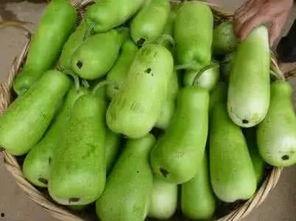 葫芦瓜整根吃,葫芦瓜整根食用的独特魅力